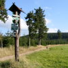 Rennsteig im Thüringer Wald